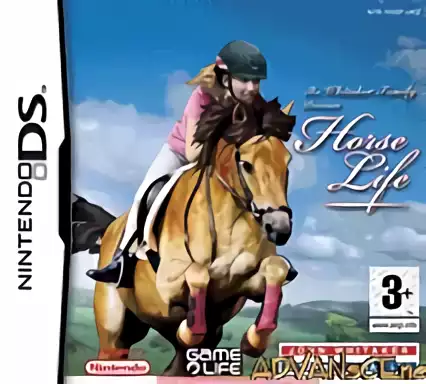 Image n° 1 - box : Horse Life